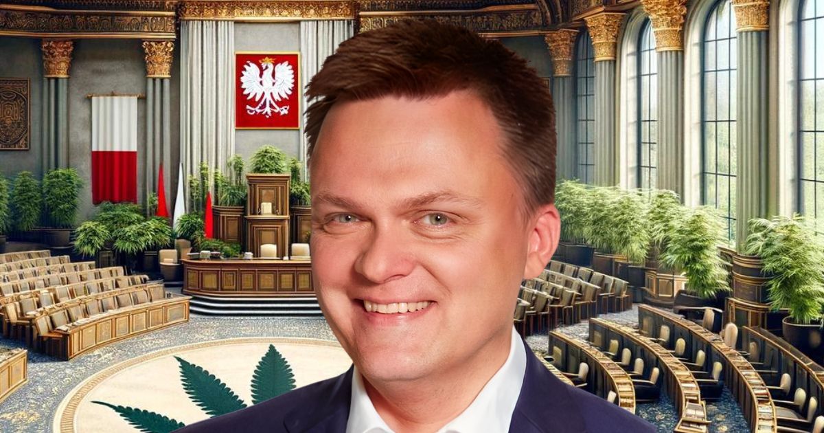 Szymon Hołownia Chce Zdepenalizować Posiadanie Marihuany Na Własny Użytek 5459